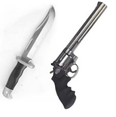 weapons, hate crime, kidnapping